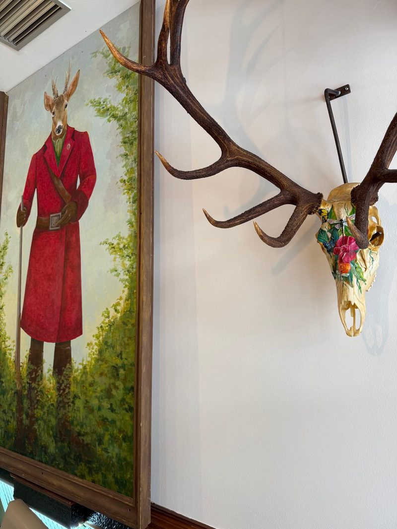 Decoración cinegética y carne de caza Ciudad Real